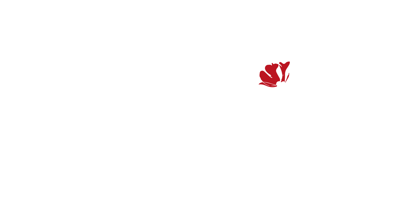 kimi-logo-white MINI